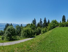 RIGI-SO-Day-Clasictrail-003