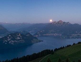 RIGI-SO-Blue-Roststock-006