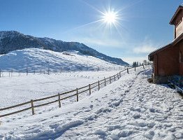 RIGI-WI-Day-Sebodenalp-002