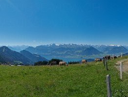 RIGI-SO-Day-Staffelhoehe-001